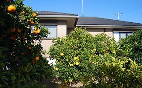 Minpaku Orange Garden - Vacation Stay 18601
